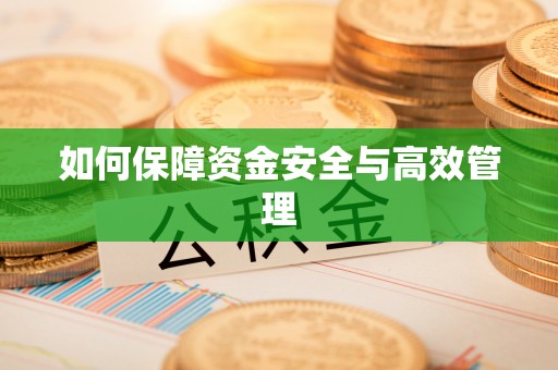 天峨如何保障资金安全与高效管理