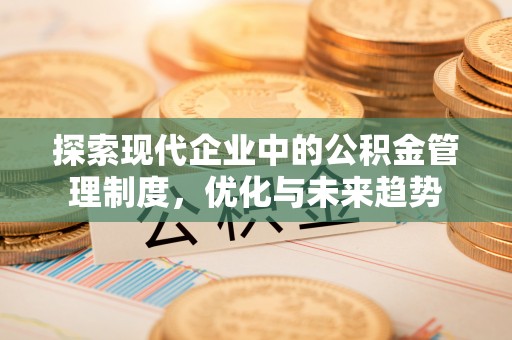 南涧探索现代企业中的公积金管理制度，优化与未来趋势