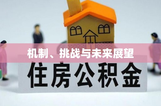 龙安机制、挑战与未来展望
