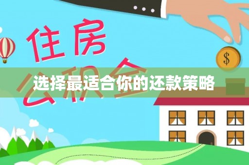 安达选择最适合你的还款策略